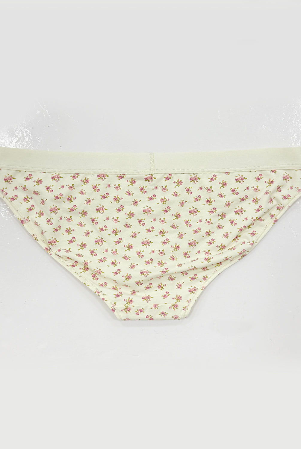 teysha organic cotton bikini briefs in vintage rose floral print, back view