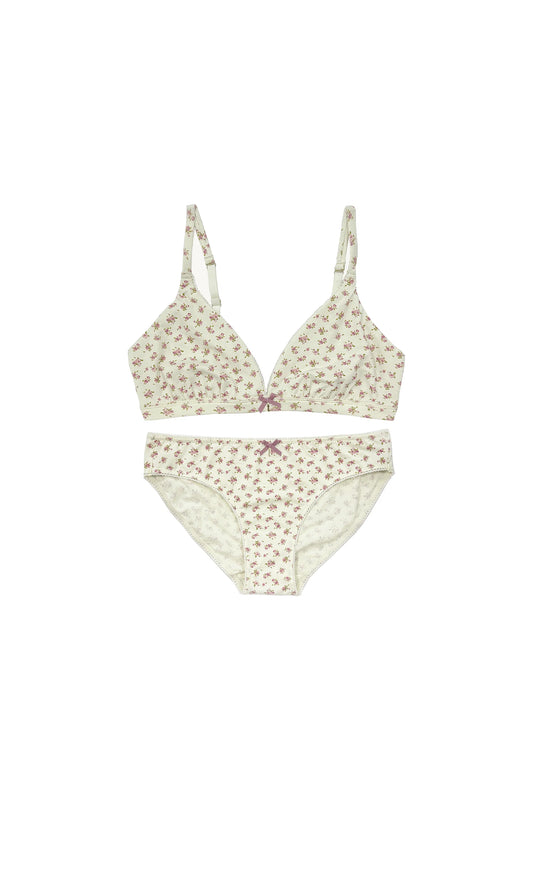 Cotton Triangle Vintage Rose Set