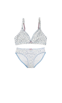 Organic Triangle Ditsy Floral Set