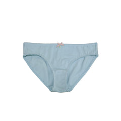 Organic Bikini Underwear Picot Edge Dusty Blue