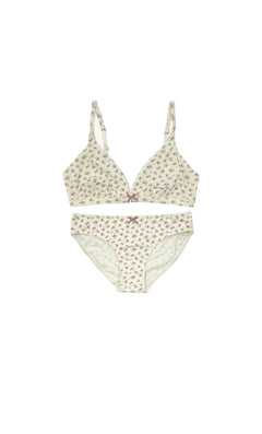 Organic Triangle Vintage Rose Set